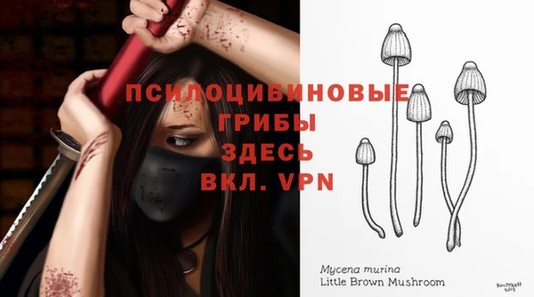 прущая мука Белоозёрский