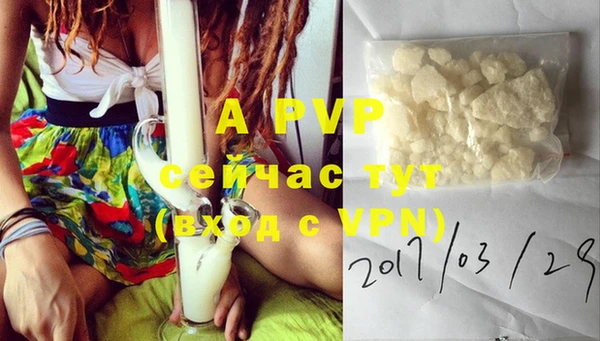 кокаин Белокуриха