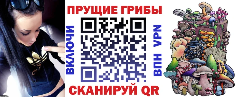 Галлюциногенные грибы GOLDEN TEACHER  omg вход  Жердевка 
